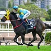 「高松宮記念2024」香港G1馬ビクターザウィナーの想定オッズが77.5倍