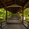 京都嵐山に行ったら大覚寺（旧嵯峨御所）がおすすめ！美しいのに人が少ない京都でおススメの観光スポット