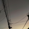なんにもない1日