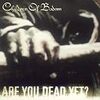  CHILDREN OF BODOM「ARE YOU DEAD YET?」