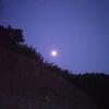 夜練ジョグ。