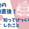 【驚愕】土地契約直後。『土地ルール』なんてあったの！？建てたいように建てられない可能性も。