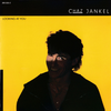 Looking at You / Chaz Jankel
