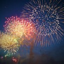 ひまわりが太陽に