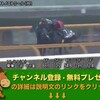 第77回 菊花賞（GI） 【競馬調教】 サトノエトワール調教動画　「競馬レース結果ハイライト」2016年≪競馬場の達人,競馬予想≫