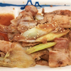 豚と長ねぎの生姜焼定食ライスミニ