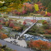 今日の一枚　「#大井平公園」の紅葉