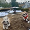 しばれるねぇ〜