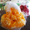 日本でこんなにおいしいマンゴーかき氷を食べたことがあっただろうか、と本気で思った：久喜・菖蒲町「雪みるく」