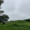 奥の山古墳 (再訪)  行田市渡柳