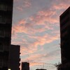 夏至…