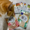 腎臓の健康維持に。アイシアの総合栄養食ウェットフード『腎活』の実食レビュー。