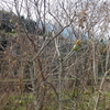 冬空