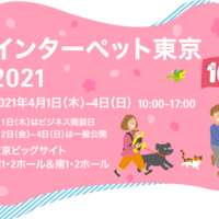 東京 お台場 愛犬と泊まれるペットokなホテル 宿 旅館 一覧 比較 愛犬と旅行に出かけよう 旅ワン Com