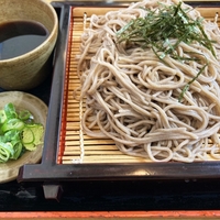【サタプラ】夏のそば(乾麺そば)のひたすら試してランキング・まとめ！サタデープラス【7月5日】
