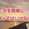 犬を簡単に飼ってはいけない