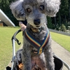 八海山へ。