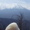 富士山をみる儀式　ｂｙなみへ～