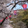  生駒西麓の桜