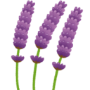 ラベンダーの日記