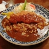 今日も出水へ　bike 63km、【定食】ライラック、