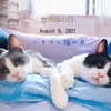 8月8日は「世界猫の日」、３匹のハチワレ君。