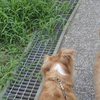 だいぶ良くなってました