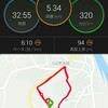 RUN 5km