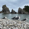 浄土ヶ浜観光（岩手県）