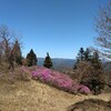 京都トレイルラン2019、春・東山コース