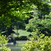 #009　六義園にて（2016.05.04）