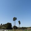 アクシデントがありましたが　賑やかに終わりました（笑）