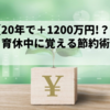 【育休中に学ぶ】２０年で１２００万円も増える節約術