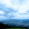 梅仕事の応募から考えさせられる