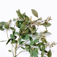 ユーカリのドライフラワー はなめも 花屋のメモ帳 ユーカリのドライフラワー はなめも 花屋のメモ帳