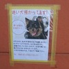 ちわお
