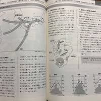 日能研生(5年生)におすすめの併用ドリル&教材 - 貧乏だけど中学受験
