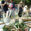活動報告　5月6日　野草料理の会、播種　part２