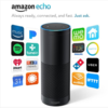 Amazon Echo（アマゾンエコー）のような音声認識は介護の役に立つか