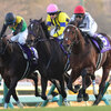 番外編③：有馬記念は、武豊騎手のドウデュースが勝利！！　そして今日、今年最後の２歳Ｇ１ホープフルステークスです！！