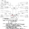 新元号記念学童野球大会❗️