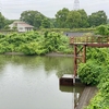 南山公園の大池（千葉県白井）