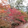 ５年生：鳳来寺山デイキャンプ⑧　帰途につく