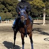【一口馬主日記】レッドアトレーヴ編！