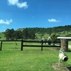 【Byronbay】3件目WWOOF1日目。到着後すぐに仕事でした。