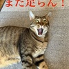 やっとリハビリ行ける^ ^