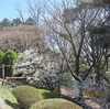 ３月27日　水戸へ行く