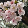 春の水・春の池水を詠んだ短歌　　君がため山田の沢に恵具摘むと雪消（ゆきげ）の水に裳の裾濡れぬ　作者未詳　　たま河の水もぬるむやいつしかと風寒からぬ春の光に　加藤枝直　　春の水船に十（と）たりのさくらびと鼓うつなり月のぼる時　与謝野晶子　　春の水掌（て）よりこぼれてかなしきにまつ毛けぶれば子さへゆらぐを　山田あき　　あふれ出て路上にみなぎりさらにあふれとめどなしとめどなし春昼（しゅんちゅう）の泉　加藤克巳　　春の水みなぎり落つる多摩川に鮒は春ごを生まむとするか　馬場あき子