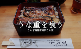 記事を見る