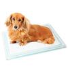 もう妥協しない！ Kuaiアクリルペットトイレトレーで実現する、犬も人も嬉しいおしゃれ空間